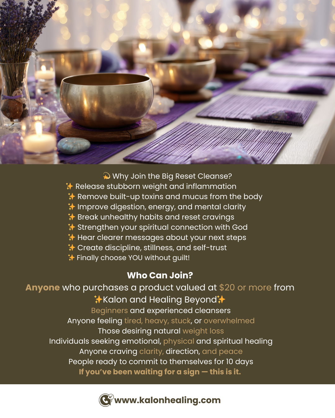 "The Big Reset" Cleanse Bundle and Save