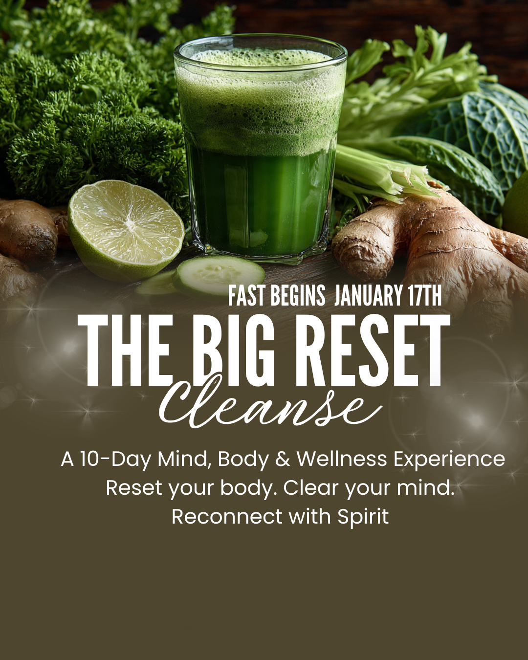 "The Big Reset" Cleanse Bundle and Save